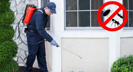 Villakent Kene İlaçlama böcek ilaçlama ve haşere kontrolü — ilaclama-tr.com